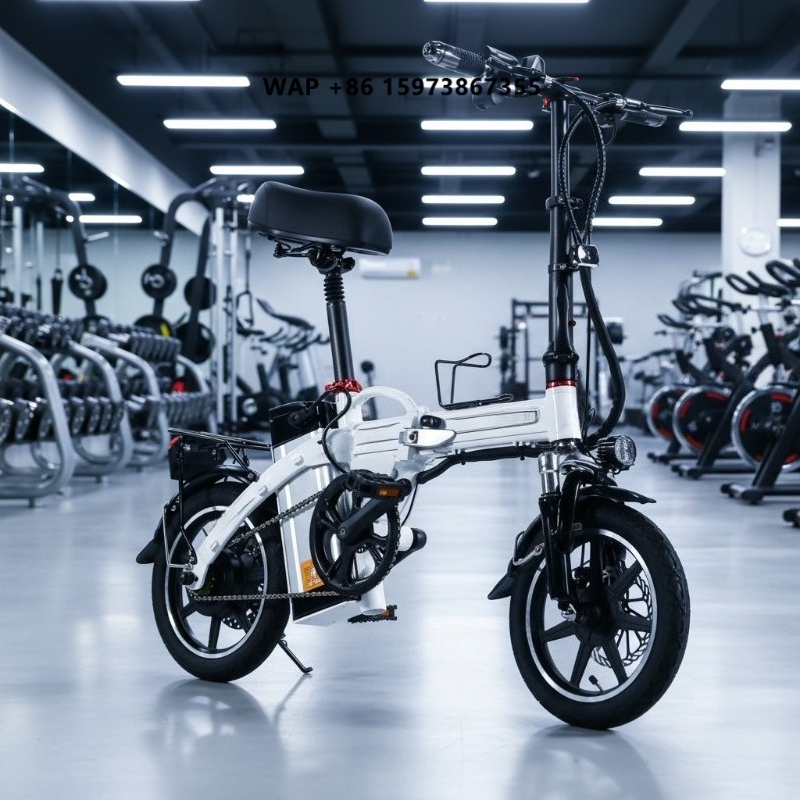 Mini opvouwbare elektrische fi - Commuter Biking recensie en prijs
