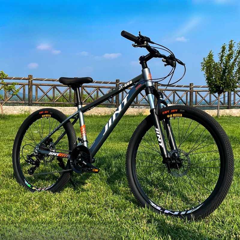 Groothandel Aluminium Alloy 26 - Commuter Biking recensie en prijs